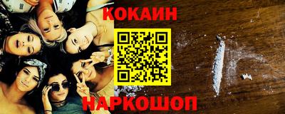 индика Камышлов
