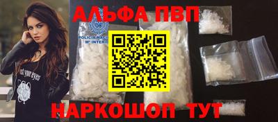 индика Камышлов