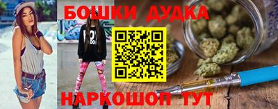 индика Камышлов
