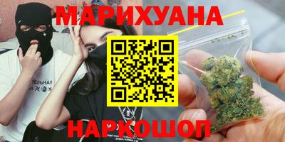 индика Камышлов