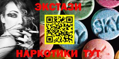 индика Камышлов