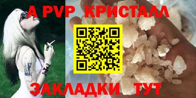 индика Камышлов