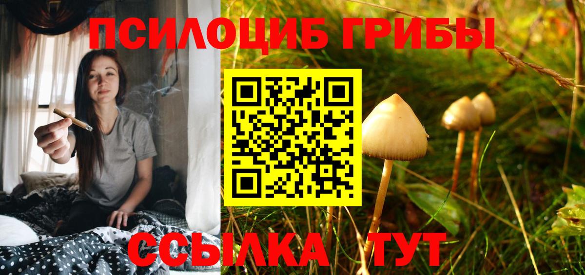 Галлюциногенные грибы MAGIC MUSHROOMS Туапсе