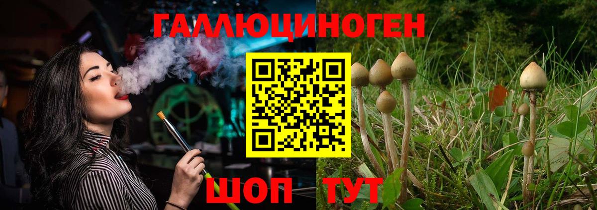 Псилоцибиновые грибы мицелий  купить  цена  Туапсе  Вход с VPN 